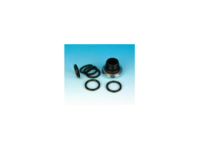 Fuel Cap O-Ring Pack 10