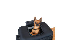 Grand Pet Palace Bag Black