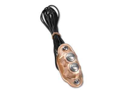 Deluxe Switch Housing Dual button Brass Satin