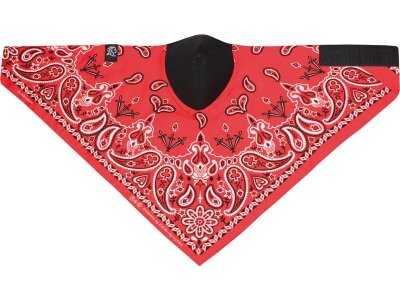 Paisley Cotton/Neoprene Neodana