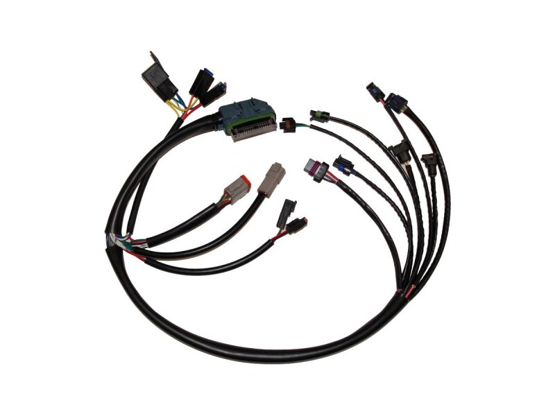 EFI Harness OEM, Complete EFI Harness