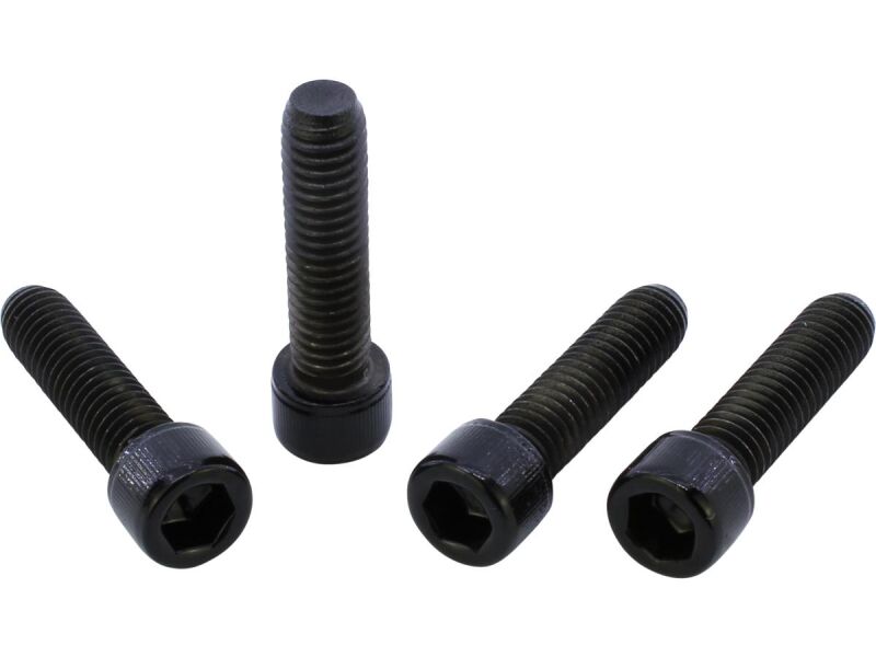Sockethead Fork Clamp Screw Kit 4-Piece Gloss Black Powder Coated