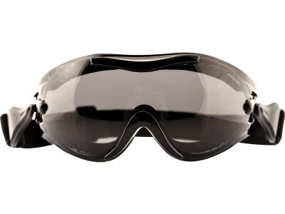 Phoenix Goggles