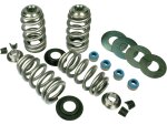 Endurance Beehive Valve Spring Kit
