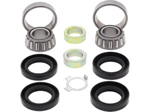 Swing Arm Bearing Kit