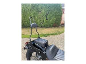 23" Quick Release Sissy Bar with Pad Gloss Black...