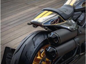 Turn Signal/Taillight/Brake Light Kit for Sportster S Black Smoke LED