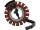 Stator 48 AMP Unmolded Stator