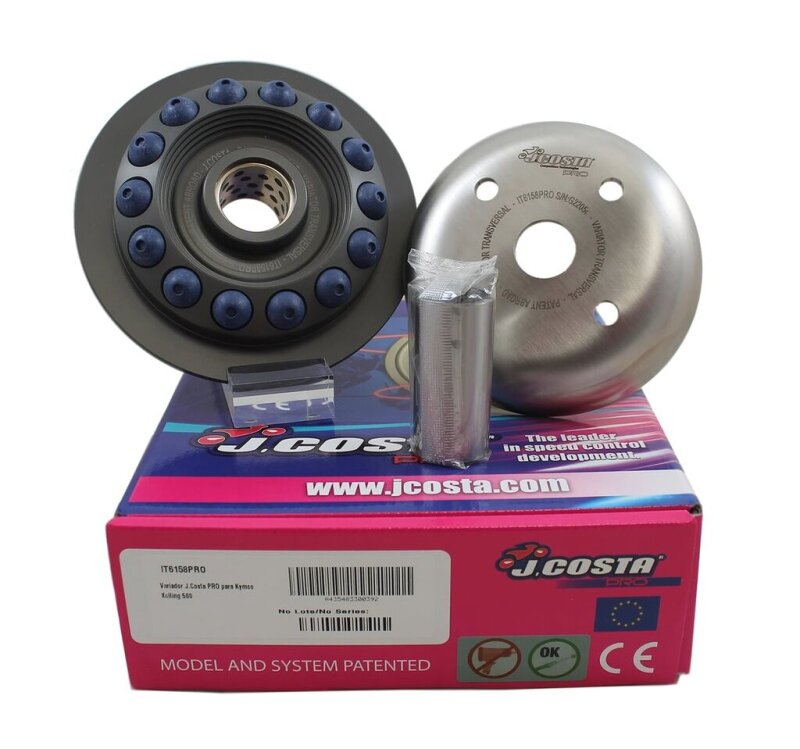 Variator Xciting 500cc