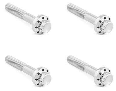 12PT Front Fender Bolts Pol. FLH/T09-Up (FR)