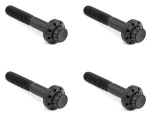 12PT Front Fender Bolts Black FLH/T09-Up (FR)