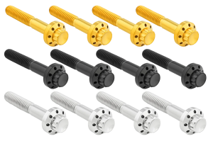 12PT Front Fender Bolts Gold FLH/T09-Up (FR)