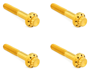 12PT Front Fender Bolts Gold FLH/T09-Up