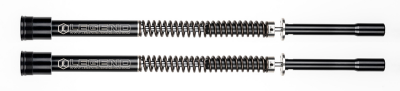 Legend AXEO fork Cartridge FLH/T17-UP Lw