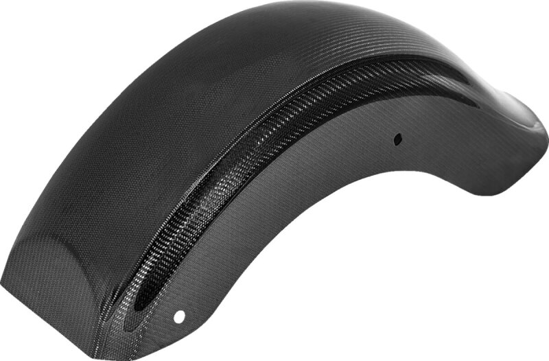 Rear Fender - Carbon Fiber - F