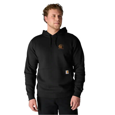 Carhartt Force™ Logo hoodie black Size S