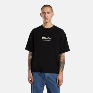 Dickies Lewistown Embro t-shirt black Size S
