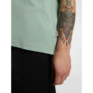 Dickies Icon Logo t-shirt iceberg green Size 2XL
