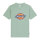 Dickies Icon Logo t-shirt iceberg green Size 2XL