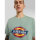 Dickies Icon Logo t-shirt iceberg green Size 2XL