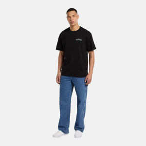 Dickies Snake t-shirt black Size S