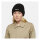 Dickies Harlowtown beanie One size fits most