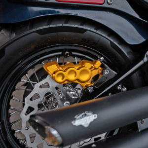 Ness 6-piston 11.8" caliper gold right (IT)