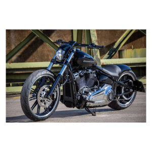 Rick\\\\s Motorcycles, rider foot pegs O-ring style. Polished