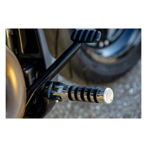 Rick\\\\s Motorcycles, rider foot pegs O-ring style. Polished