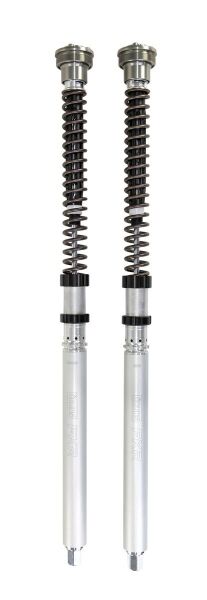 Cartridge Aprilia Rsv4 (Öhlins