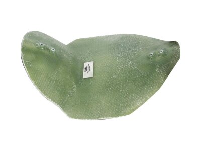 Seat Pan for 6" Ricks Rear Fender