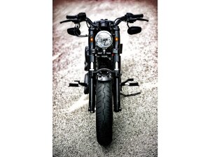 Palas Lower Fork Cover