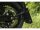 License Plate Bracket
