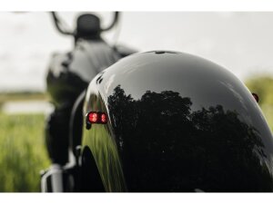 Rear Taillight/Turn Signal Combo Anodized