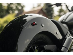 Rear Taillight/Turn Signal Combo Anodized