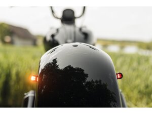 Rear Taillight/Turn Signal Combo Anodized