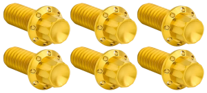 12PT Derby Cover Bolts Gold ST18-Up (FR)