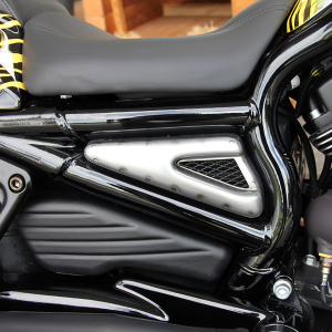 Gas Tank Cover GT Raw VRSC07-17 (IT)