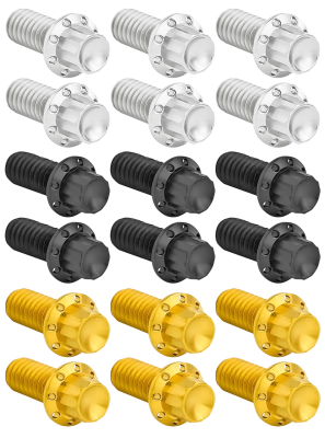12PT Derby Cover Bolts Pol. HD07-Up (GB)