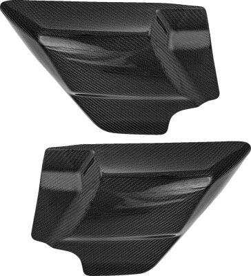 Side Cover - Carbon Fiber - Fl