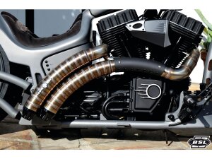 Rainbow V2 Snake on the Road Exhaust System , Black Hole...