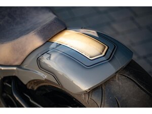 Classic Rear Fenders Intergrated LED lights and special...