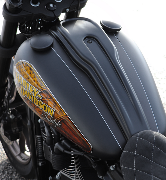 Dash Cover Kit Raw ST18-Up (FR)