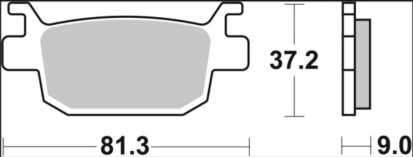 Brake Pad Sp Sint Rr