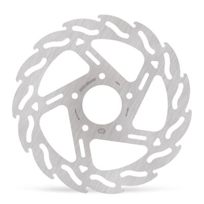 ** Moto-Master, \\\\Flame\\\\ rigid brake rotor. Rear right