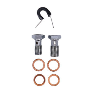 MCS by Goodridge brake line front, stainless clear coated
