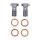 MCS by Goodridge brake line front, stainless clear coated