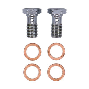 MCS by Goodridge brake line front, stainless clear coated