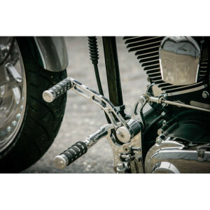 ** Rick\\\\s Motorcycles, +4"""" Forw. control kit. O-Ring. Pol.