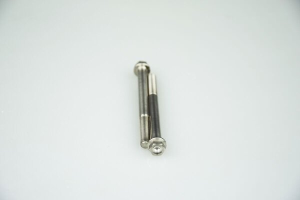 Titanium Bolt M6x80 Pack Of 2